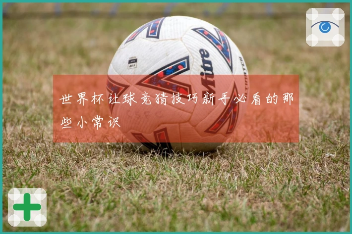 世界杯让球竞猜技巧新手必看的那些小常识