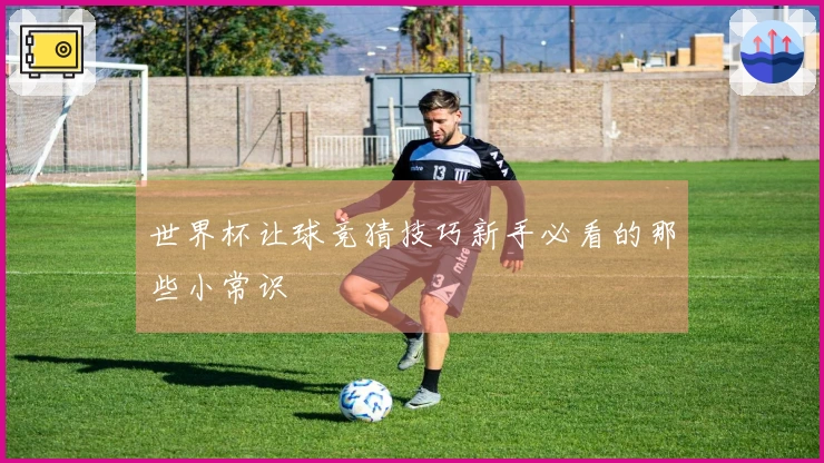 世界杯让球竞猜技巧新手必看的那些小常识