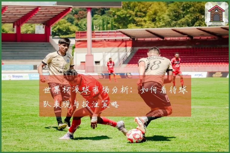 世界杯滚球市场分析：如何看待球队表现与投注策略