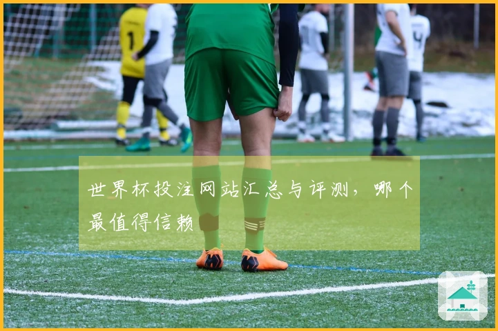 世界杯投注网站汇总与评测，哪个最值得信赖