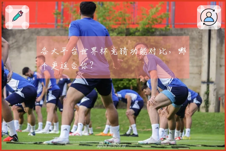 各大平台世界杯竞猜功能对比，哪个更适合你？