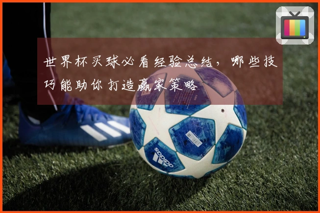 世界杯买球必看经验总结，哪些技巧能助你打造赢家策略