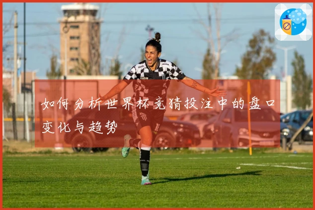 如何分析世界杯竞猜投注中的盘口变化与趋势