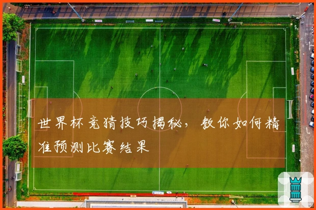 世界杯竞猜技巧揭秘，教你如何精准预测比赛结果