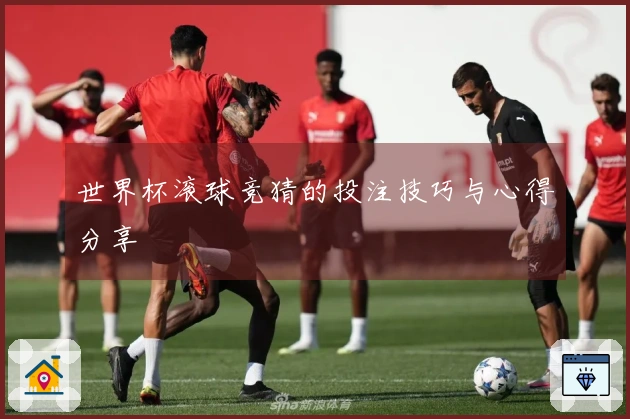 世界杯滚球竞猜的投注技巧与心得分享