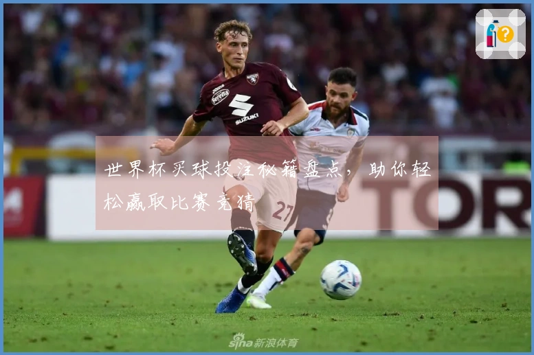世界杯买球投注秘籍盘点，助你轻松赢取比赛竞猜