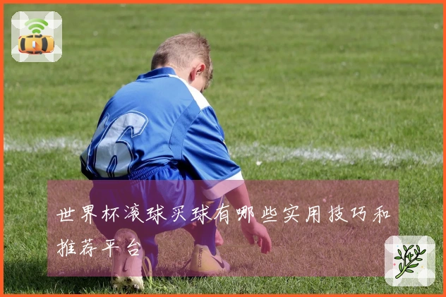 世界杯滚球买球有哪些实用技巧和推荐平台