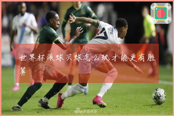 世界杯滚球买球怎么玩才能更有胜算