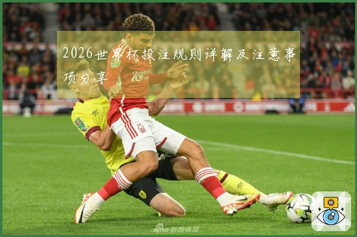 2026世界杯投注规则详解及注意事项分享