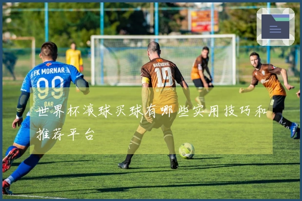 世界杯滚球买球有哪些实用技巧和推荐平台