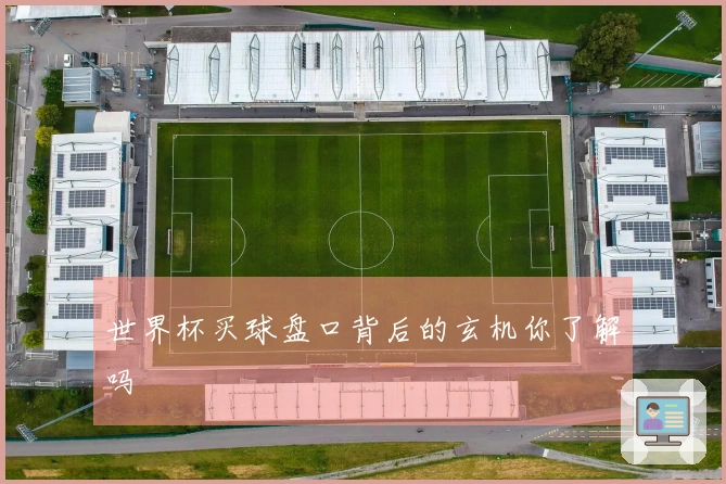世界杯买球盘口背后的玄机你了解吗