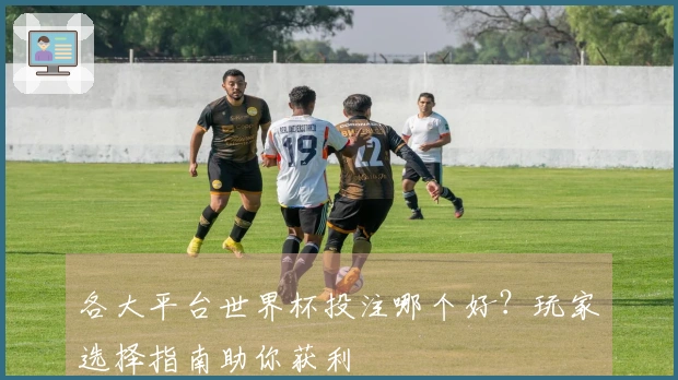 各大平台世界杯投注哪个好？玩家选择指南助你获利