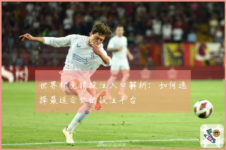 世界杯竞猜投注入口解析：如何选择最适合你的投注平台