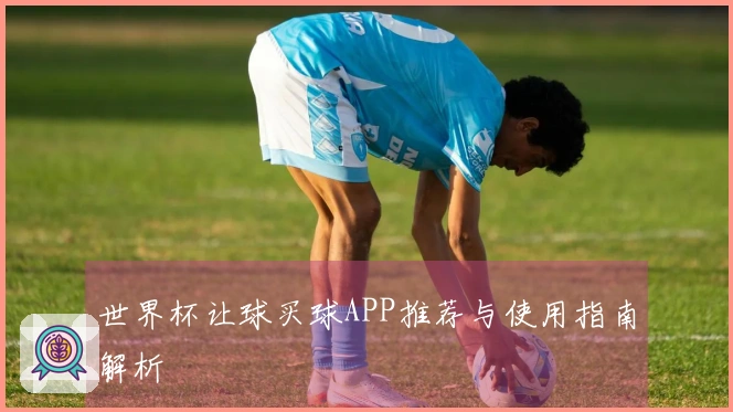 世界杯让球买球APP推荐与使用指南解析