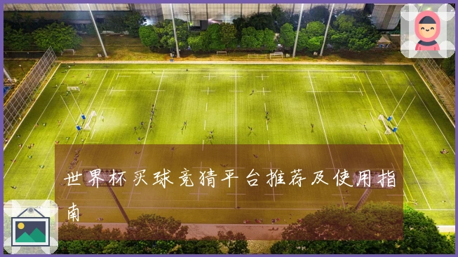 世界杯买球竞猜平台推荐及使用指南