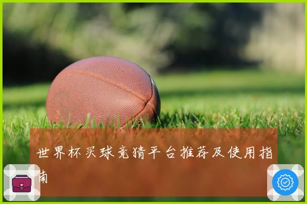 世界杯买球竞猜平台推荐及使用指南