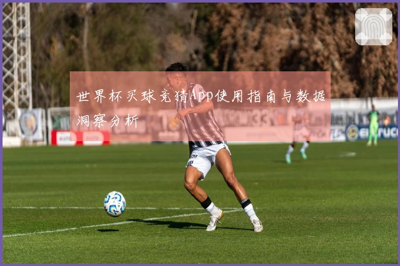 世界杯买球竞猜App使用指南与数据洞察分析