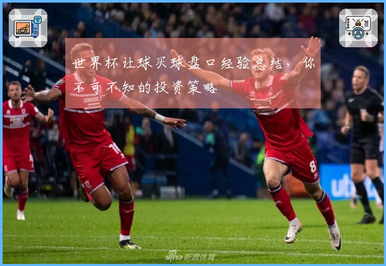 世界杯让球买球盘口经验总结，你不可不知的投资策略