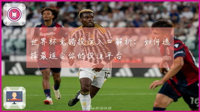世界杯竞猜投注入口解析：如何选择最适合你的投注平台